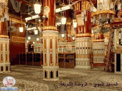 madina17
