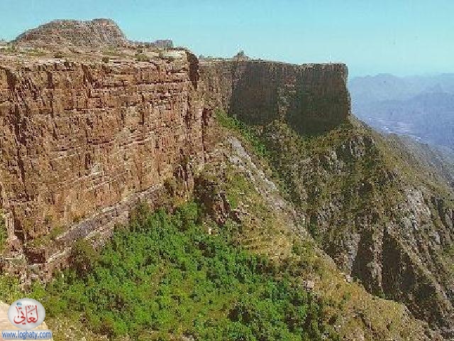 3737788mbgDSnezUT ph