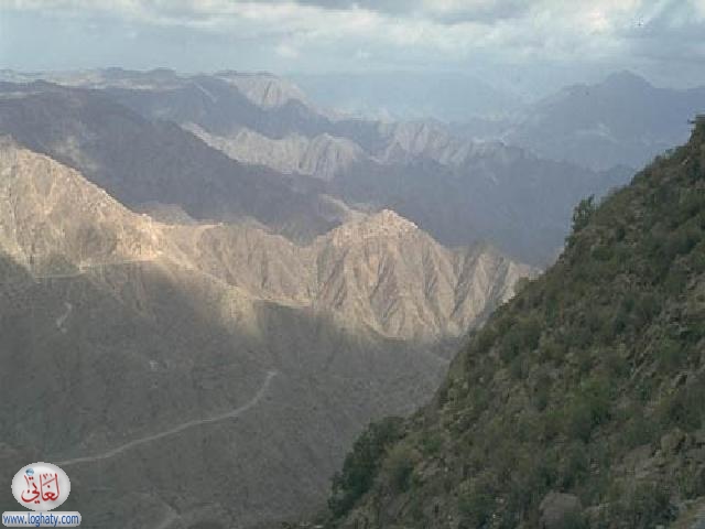 3739308GsYzjSBDkF ph