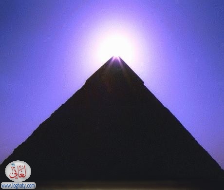 253723221053600-9272