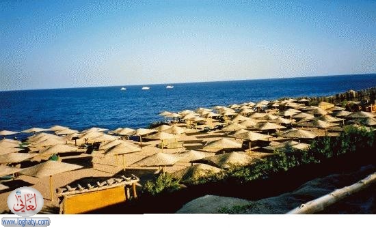 562323221053600-9263