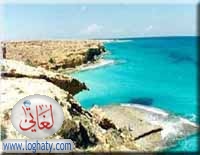 marsa5