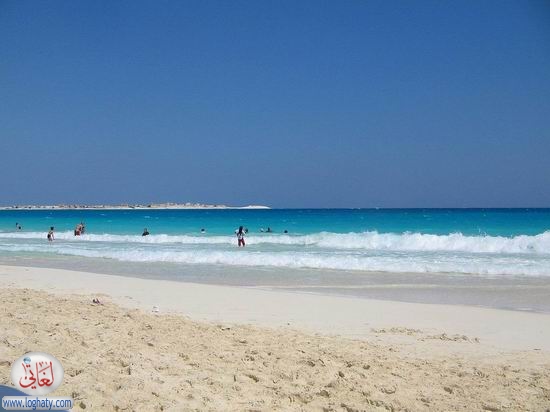 marsa6