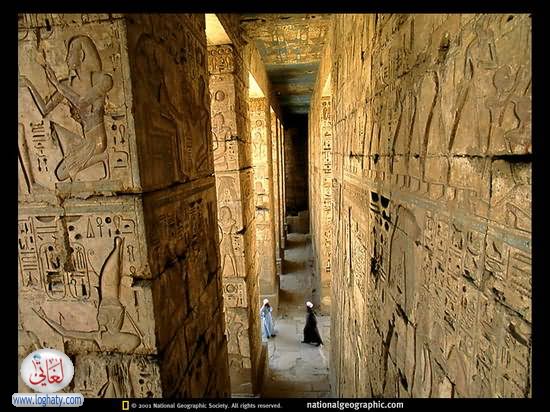 w6w 04220601042412774060