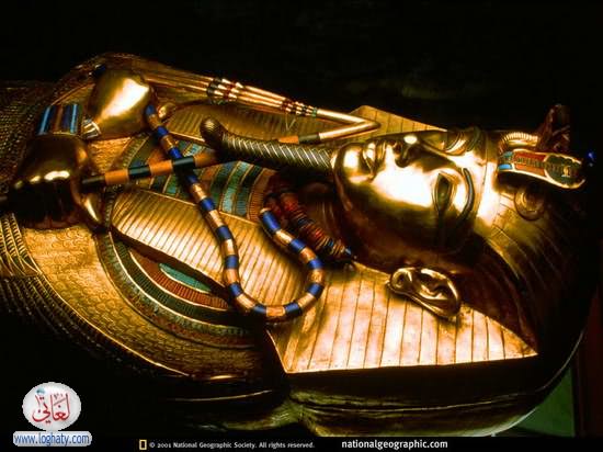 w6w 04220601042426536806