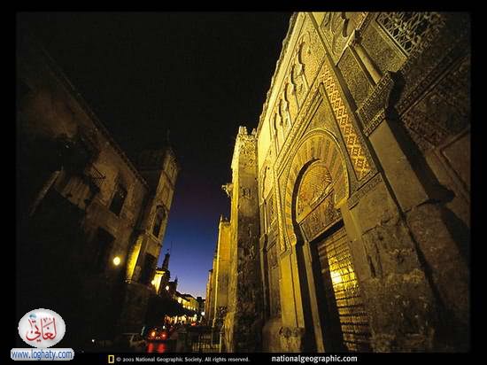 w6w 04220601042427968062