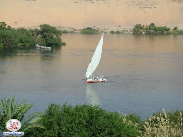 w6w 20060102080549126739ec9d78a