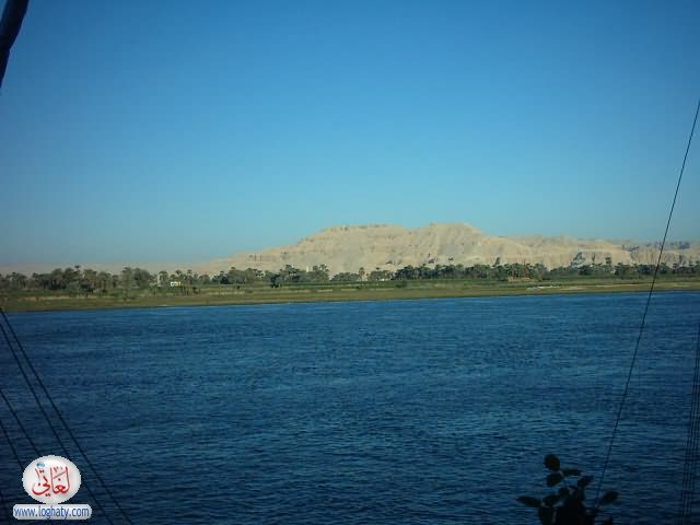 w6w 2006010208174212673bceacf14