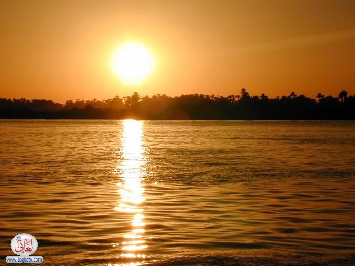 w6w 2006010208210112673d1dd5378