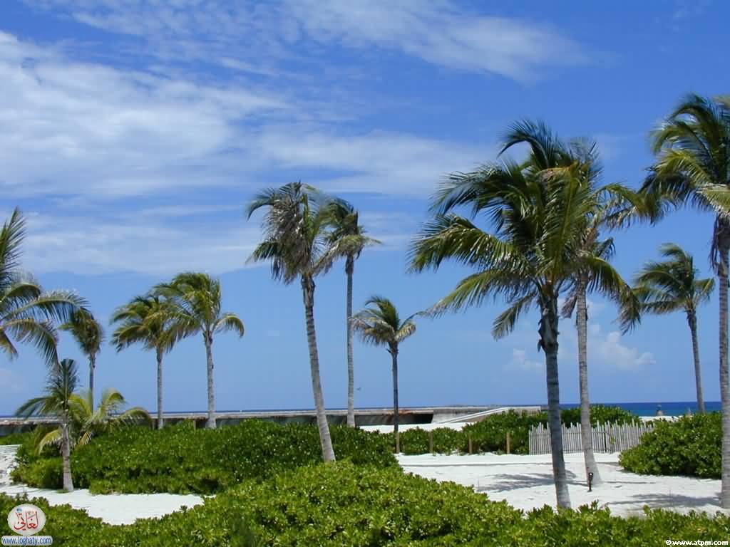 bahamas03