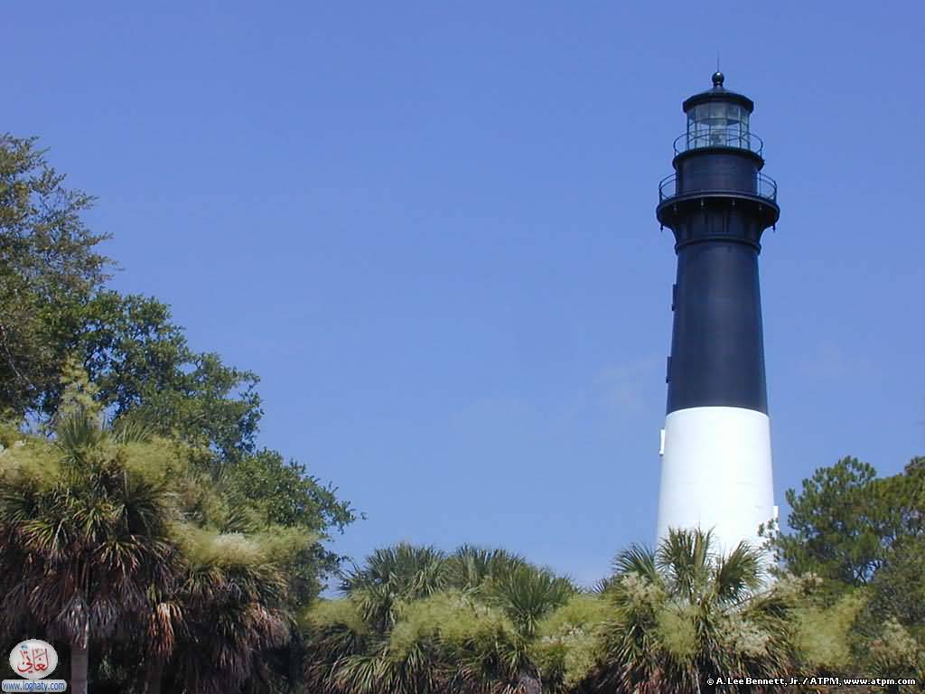 hunting-island-light1