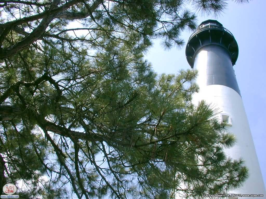 hunting-island-light2