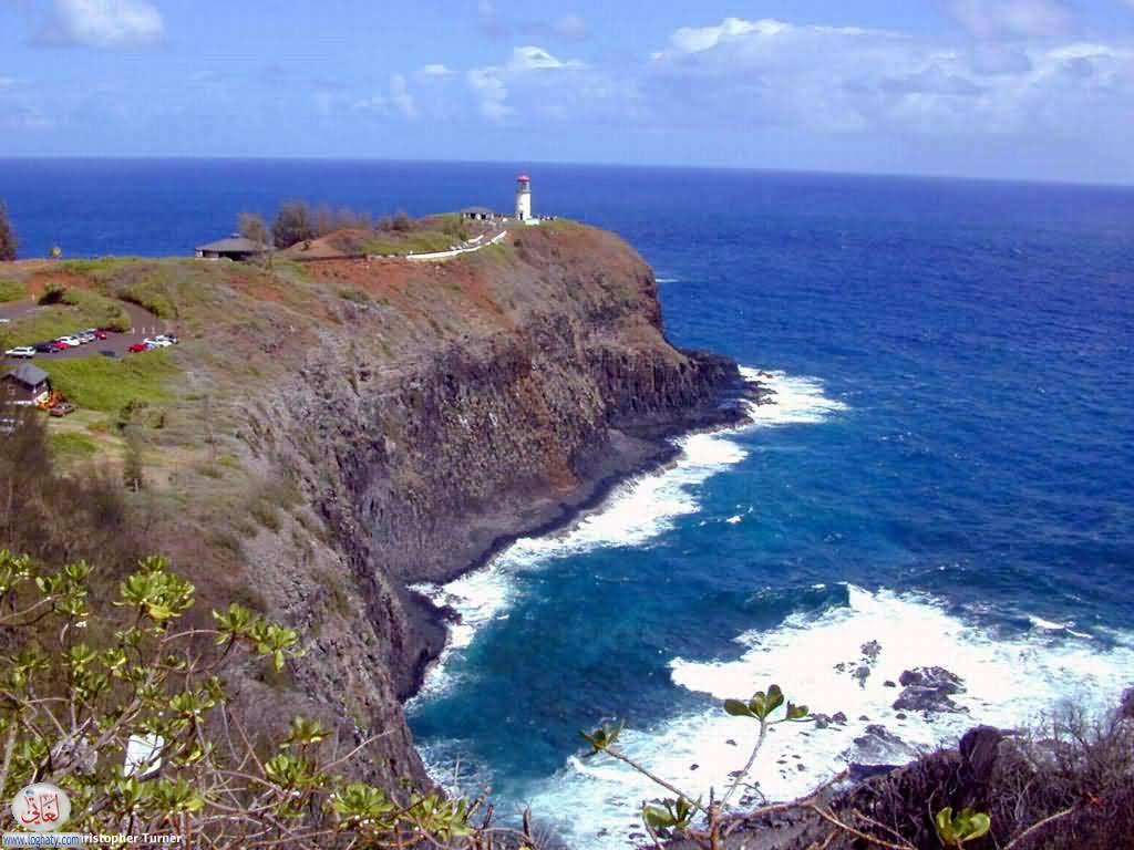 kilauea point