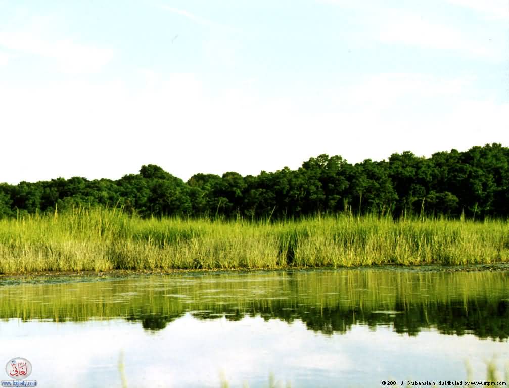 reflections
