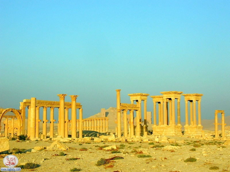 palymyra-sunrise
