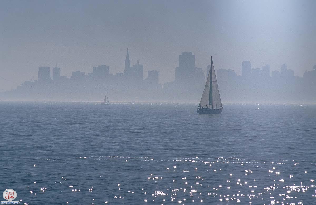 fog-san francisco