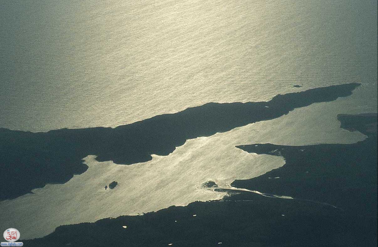 san francisco 02 tomalesbay