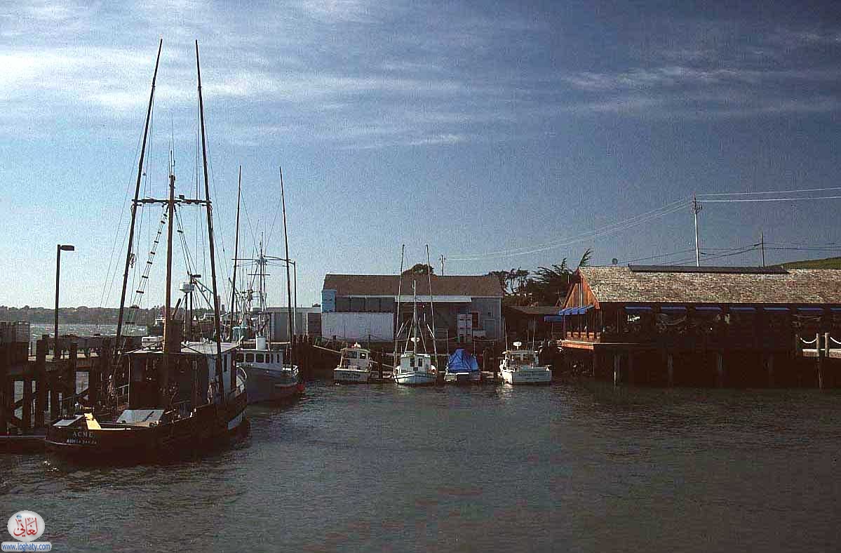 san francisco 14 bodega