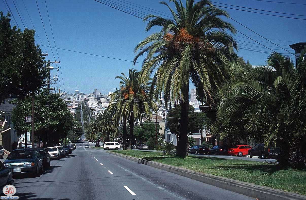 san francisco 71 dolores