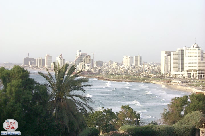 yafa2