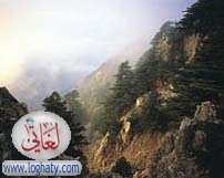 lebanon nature37