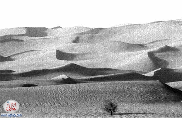 dunes