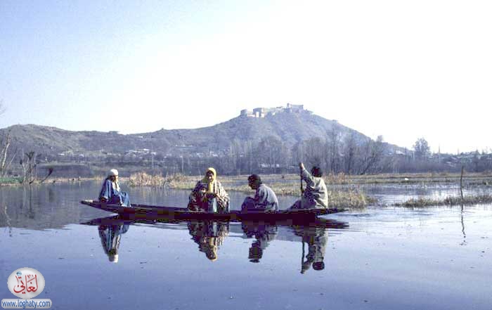 Dal lake
