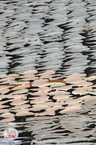 drying fish