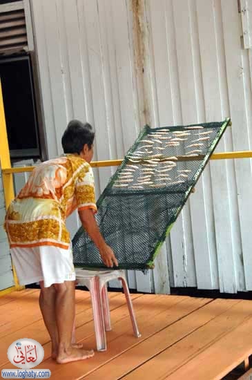 fish drying
