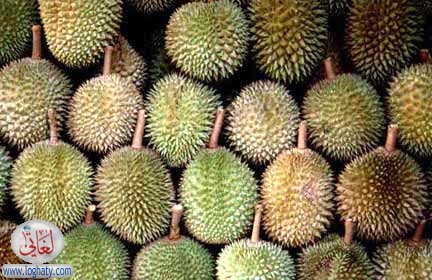 durian