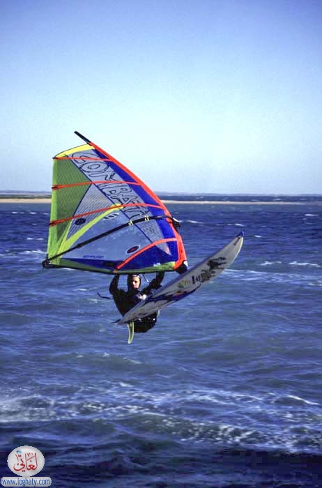 windsurfer