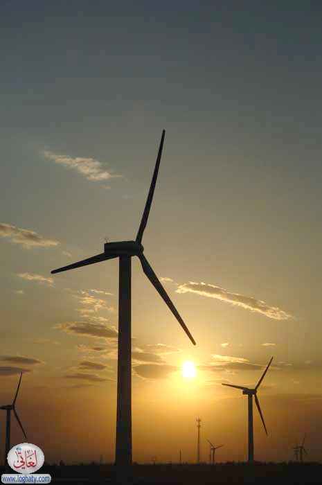 wind turbine