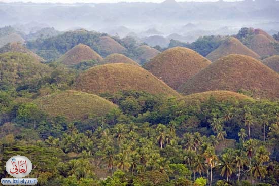 chocolatehills6