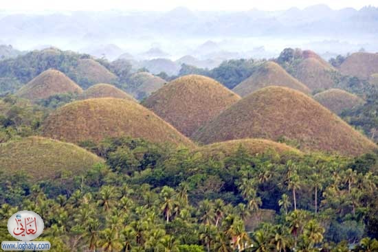 chocolatehills7