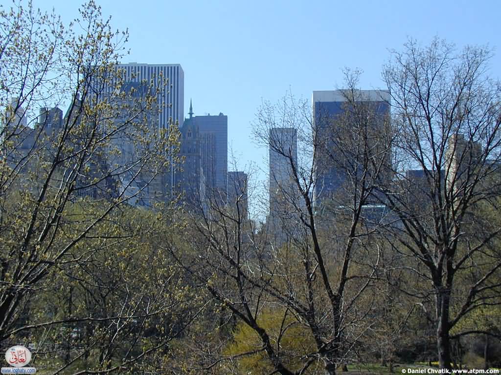 new-york-05