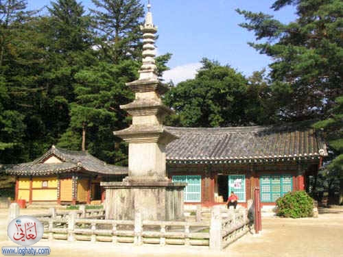 korea169