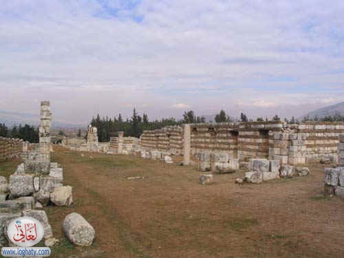 syria086