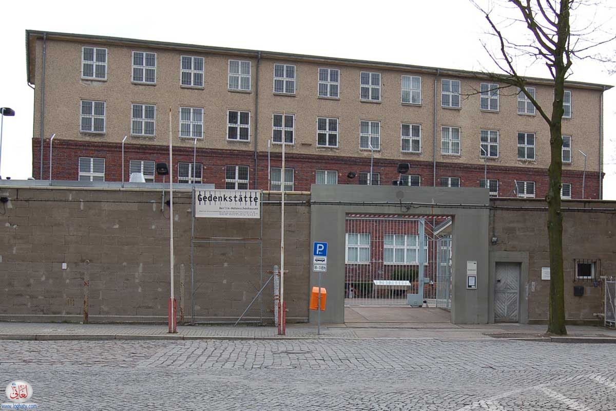 hohenschoenhausen-h81q