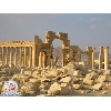 palmyra1