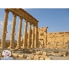 palmyra3