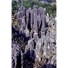 stone forest
