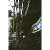 Hong-Kong-bamboo-scaffolding-neon-sign-pedestrians-on-pavement-SB