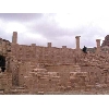 syria236