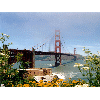 golden gate2
